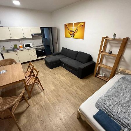 Apartmans In The Center With Privat Parking Apartment Бърно Екстериор снимка