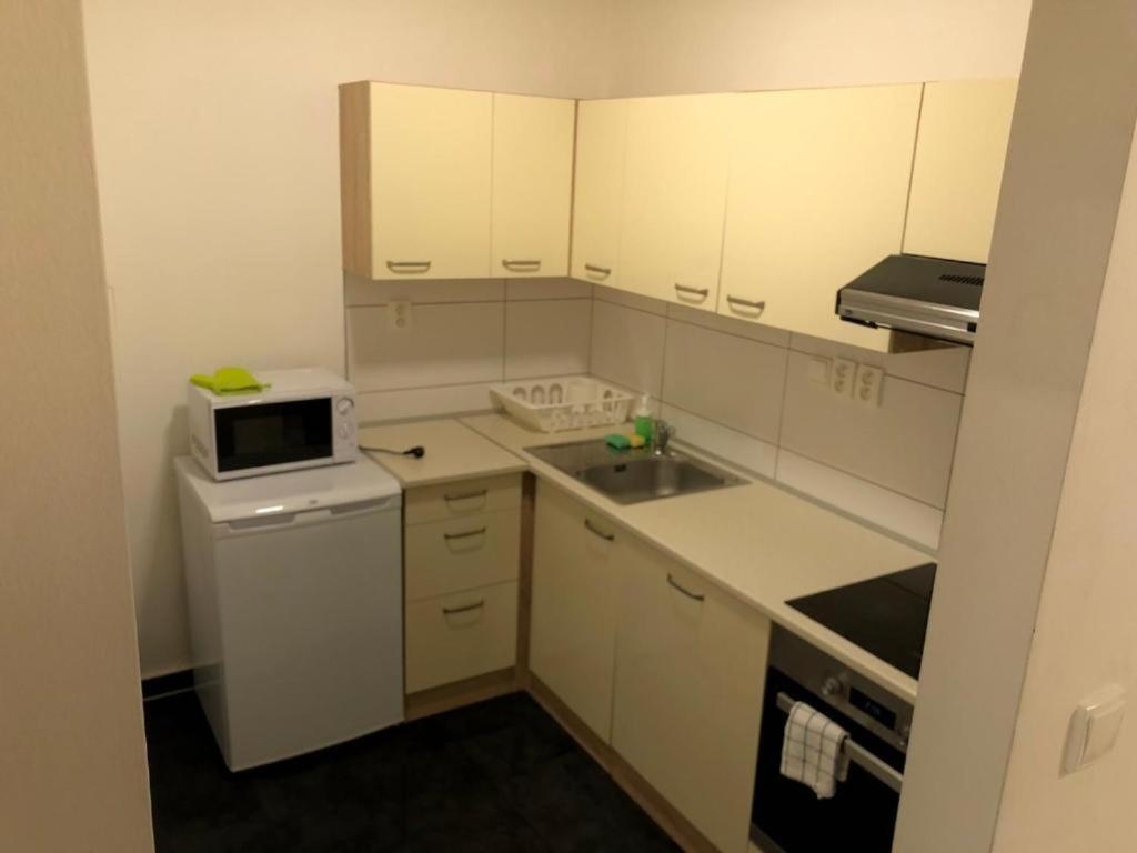 Apartmans In The Center With Privat Parking Apartment Бърно Екстериор снимка