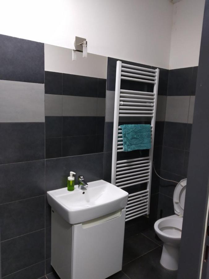 Apartmans In The Center With Privat Parking Apartment Бърно Екстериор снимка