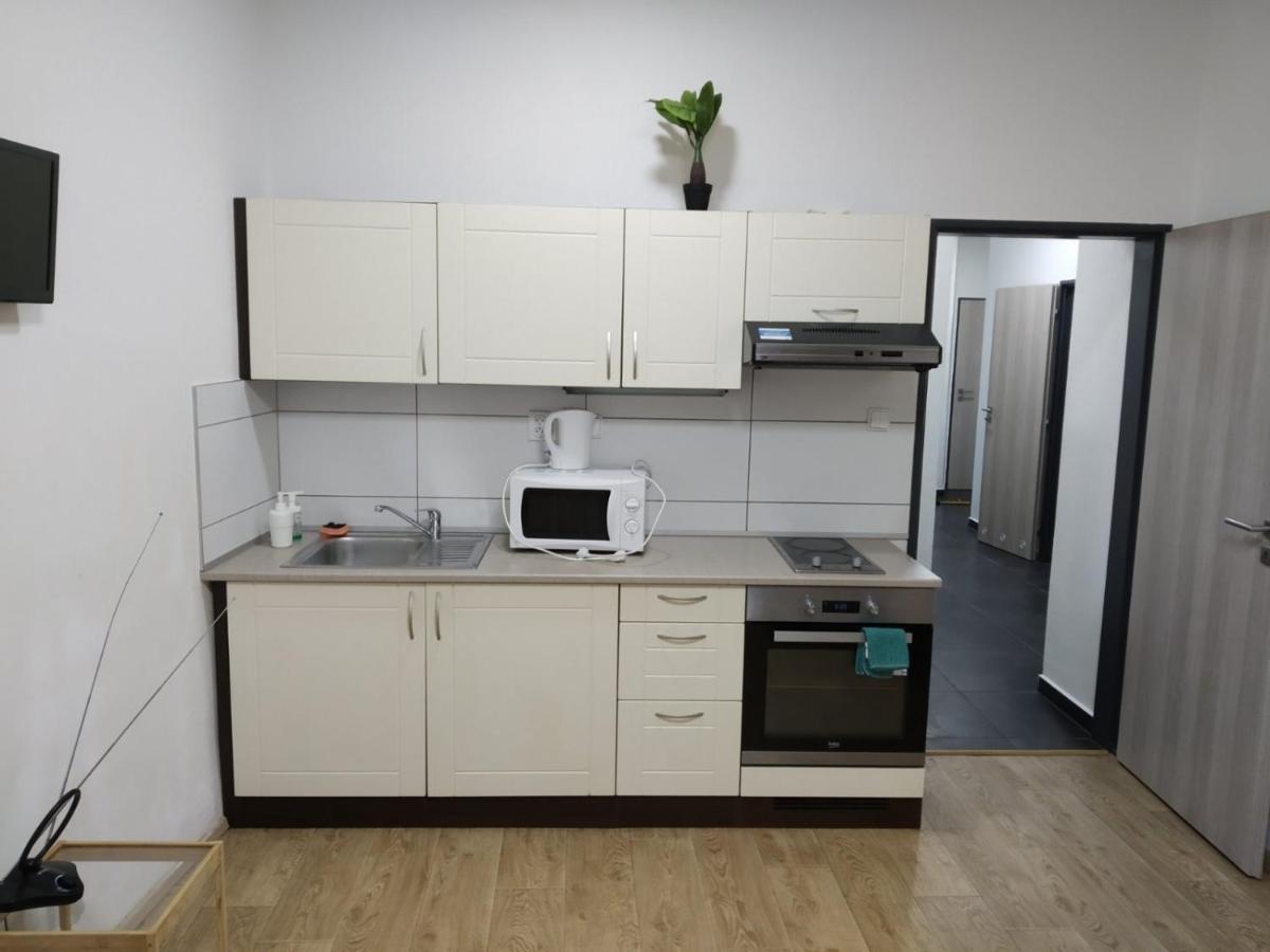 Apartmans In The Center With Privat Parking Apartment Бърно Екстериор снимка