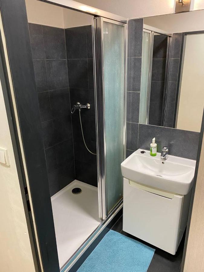 Apartmans In The Center With Privat Parking Apartment Бърно Екстериор снимка